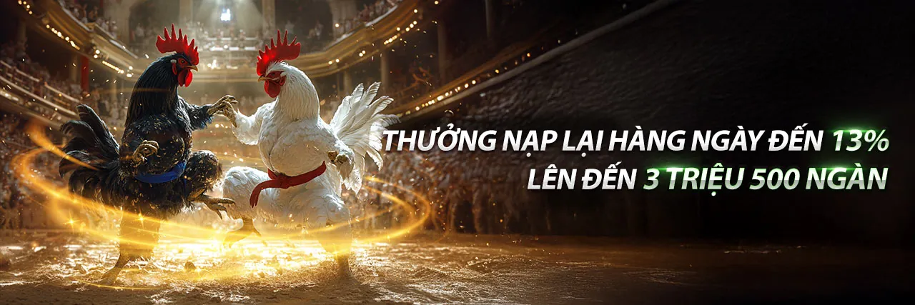 Banner khuyến mãi s11uu